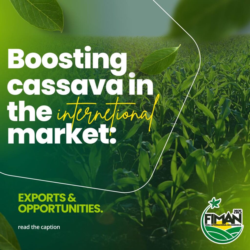 Instagram post from fiman_br. This post is in position 7.