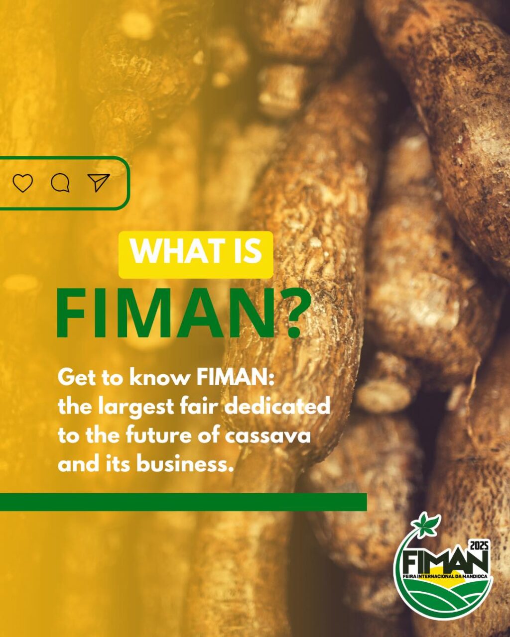 Instagram post from fiman_br. This post is in position 6.