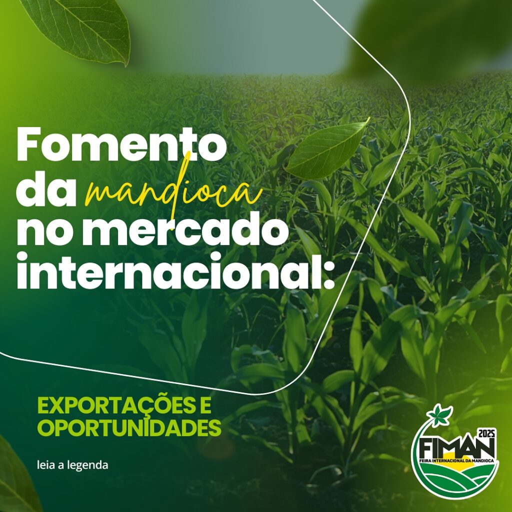 Instagram post from fiman_br. This post is in position 8.